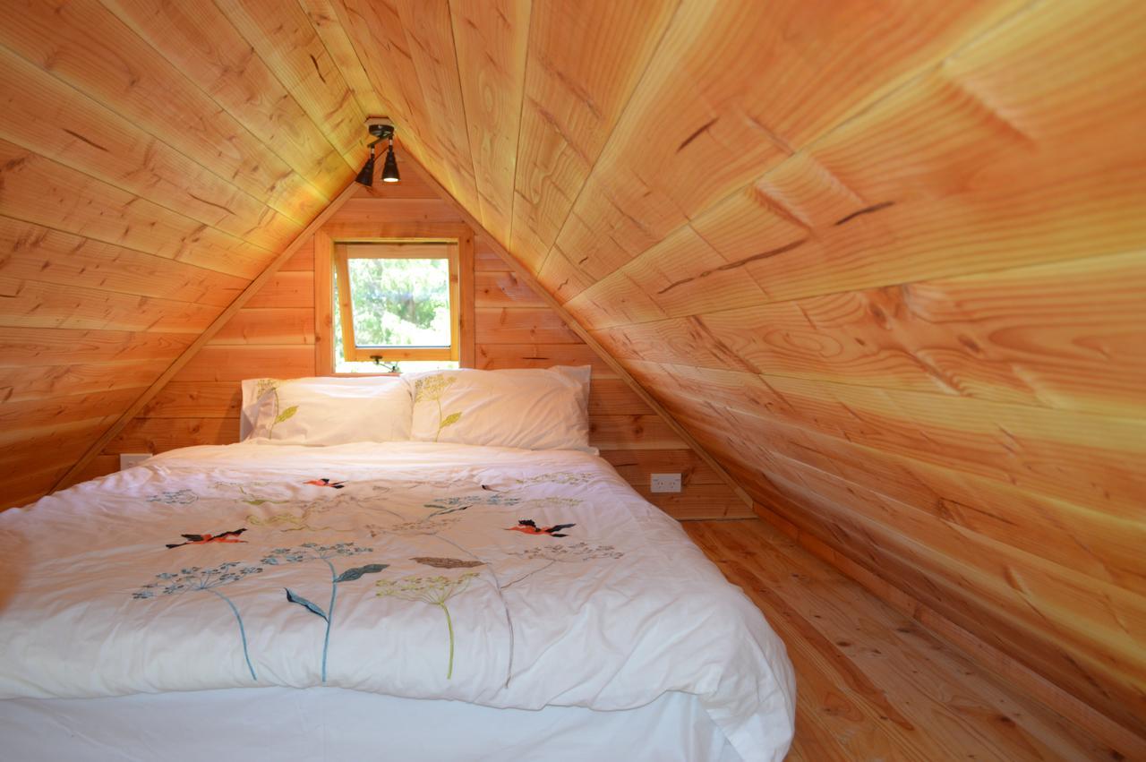 טקאקה Sunrise Cabin At First Light Rangihaeata Retreat מראה חיצוני תמונה